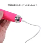 振動の強弱は8段階、パターンは20種類ある：NEW 噂のデンマ