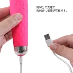 振動の強弱は8段階、パターンは20種類ある：NEW 噂のデンマ
