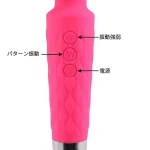 振動の強弱は8段階、パターンは20種類ある：NEW 噂のデンマ